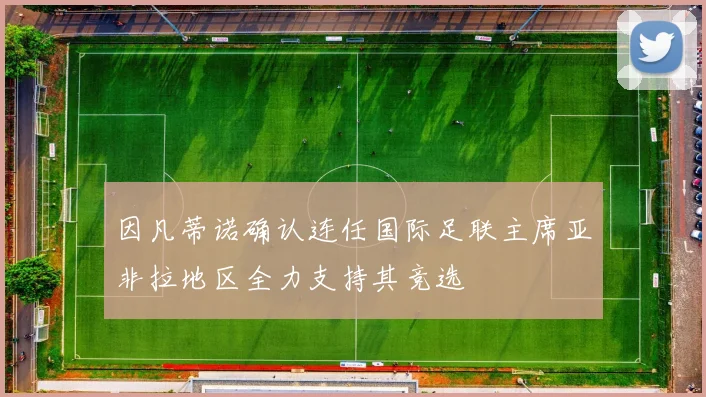 因凡蒂诺确认连任国际足联主席亚非拉地区全力支持其竞选